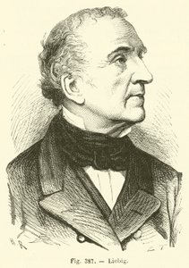 Liebig by French School